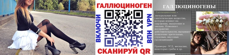 Псилоцибиновые грибы прущие грибы  Бердск 